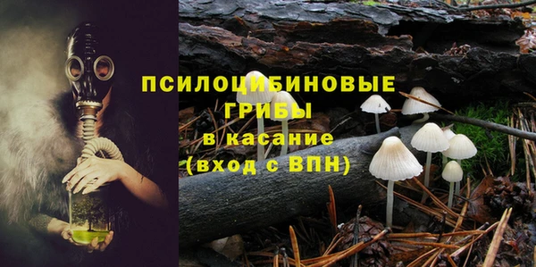 mdma Богородицк