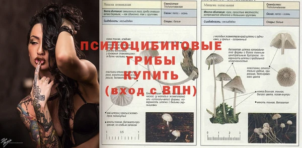 кокаин перу Богданович