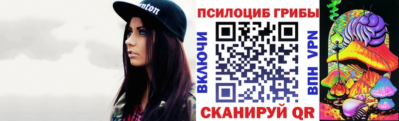 Псилоцибиновые грибы GOLDEN TEACHER  маркетплейс состав  Мурманск 